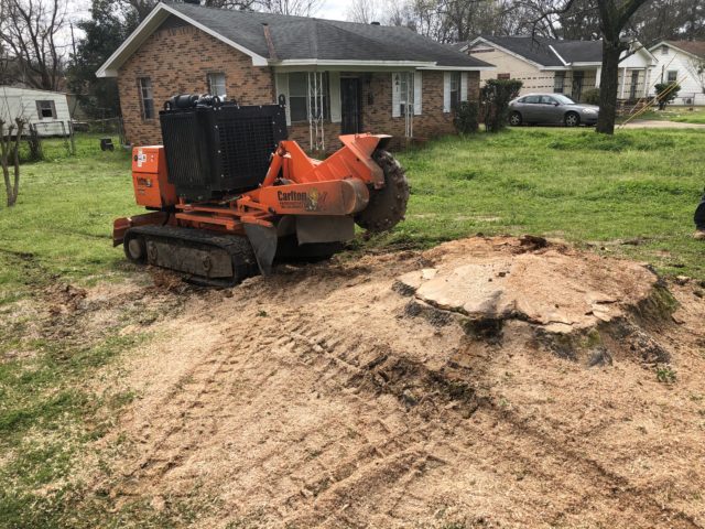 Using a stump grinder to remove a tree stump