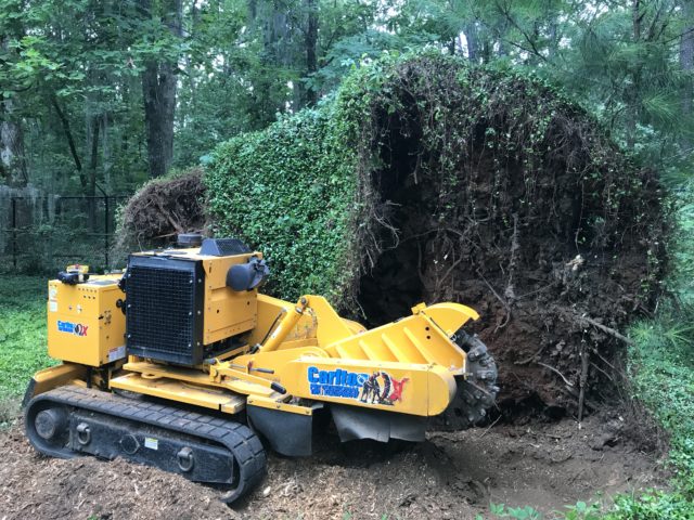 Large blow over stump removed with forestry equipment in Wetumpka, Alabama