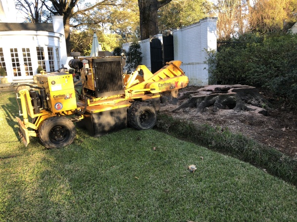 Grinding a tree stump in Eclectic, AL