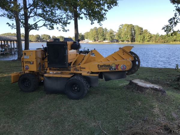 Stump removal next to Lake Martin in Equality, AL