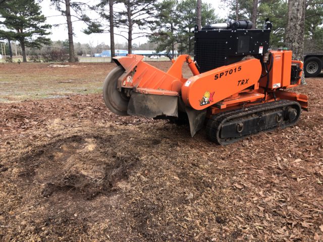 Regrinding a stump that a local competitor attempted to complete with a rental stump grinder. Notice how the stump is not even below the ground.