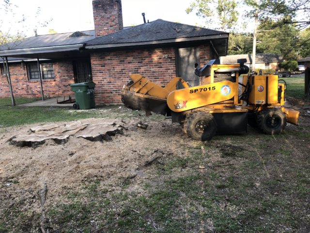 Stump grinding near a home in Prattville