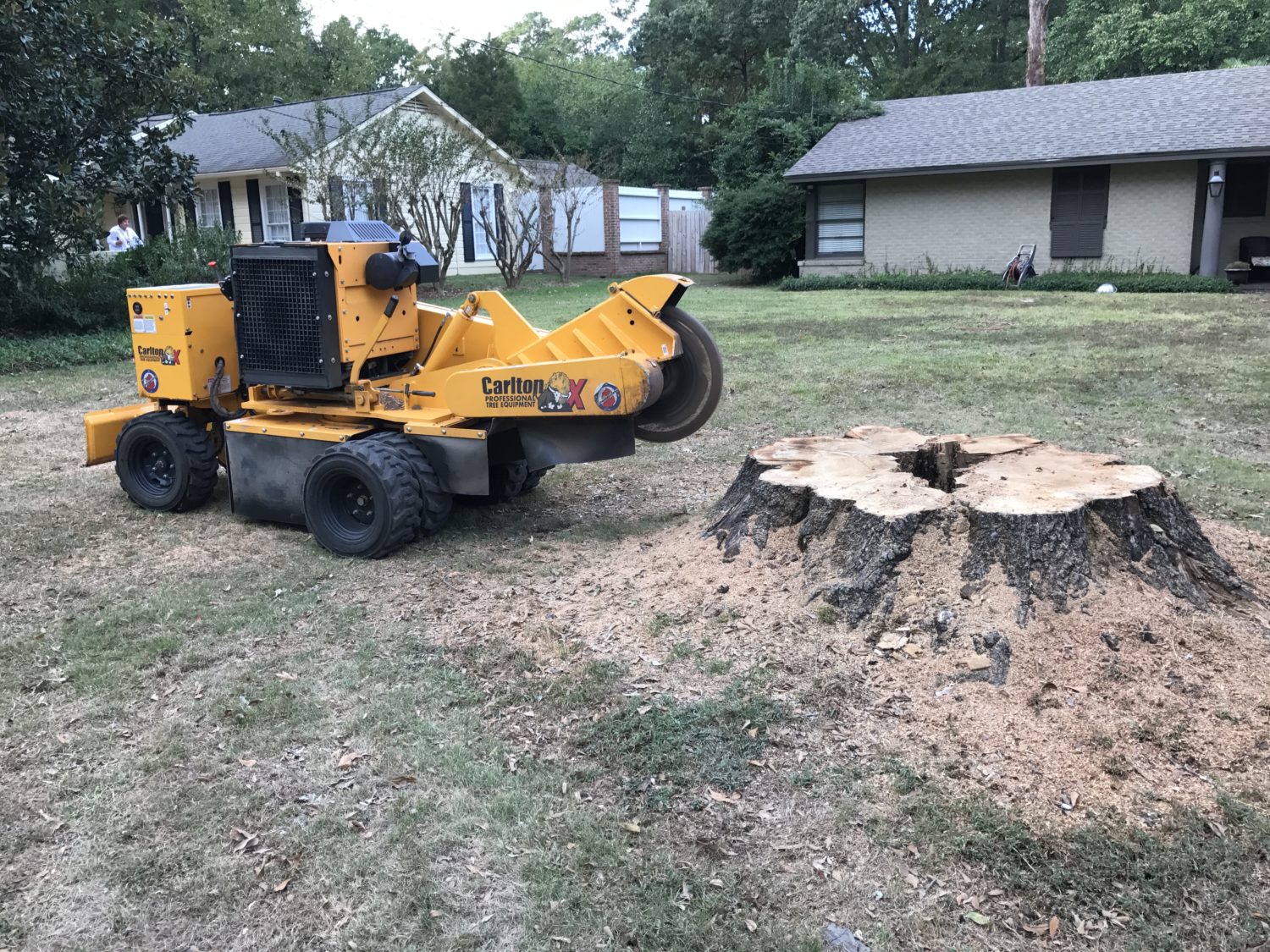 Stump grinding in Wetumpka, AL