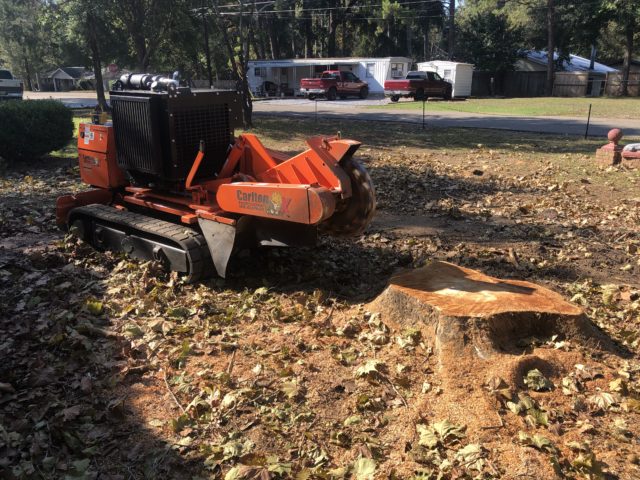 Stump removal in Prattville, AL with a stump grinder